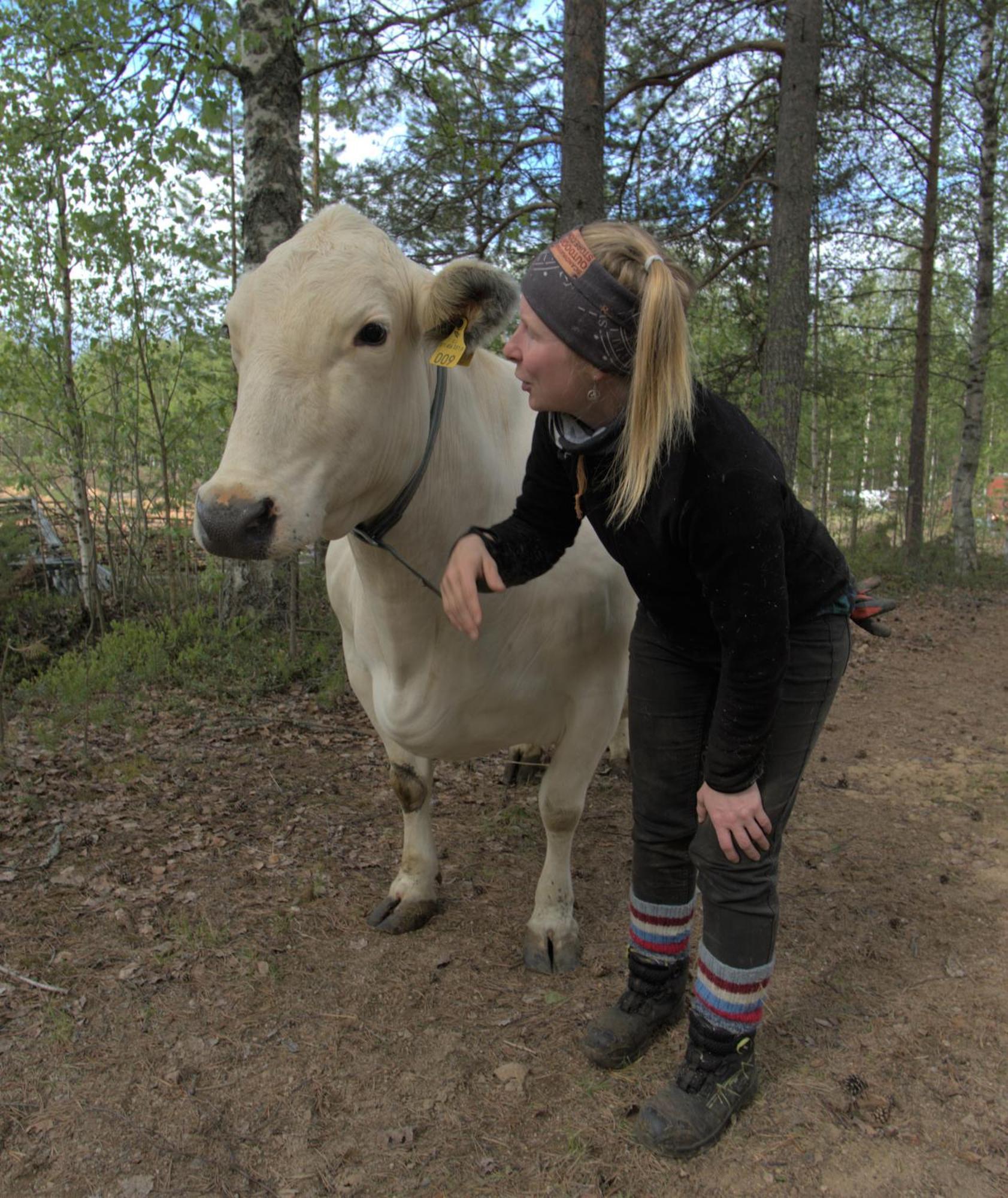 Willa Heidin Mummola Farm Pello Zewnętrze zdjęcie